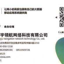 北京環宇領航網絡科技有限公司 網絡技術服務領域的卓越領航者